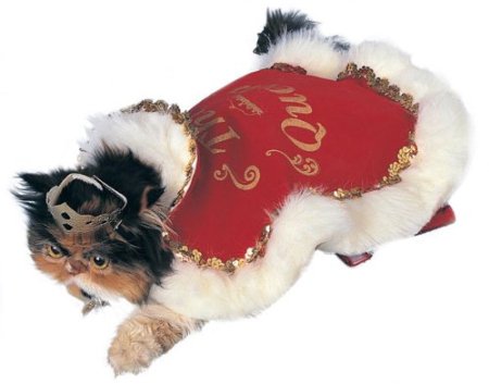 queen cat costume on amazon.