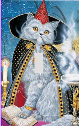 cat wizard light switch plate on amazon