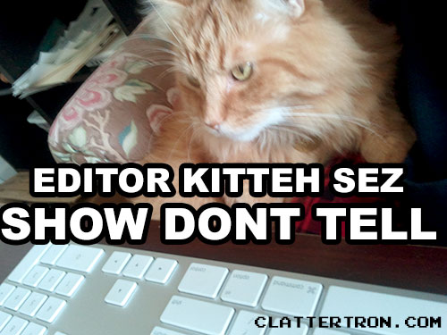 photo of a cat at a keyboard