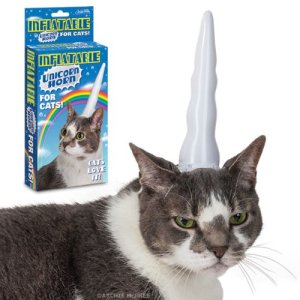 I know where you sleep. Remember that. inflatable halloween unicorn horn for a cat.