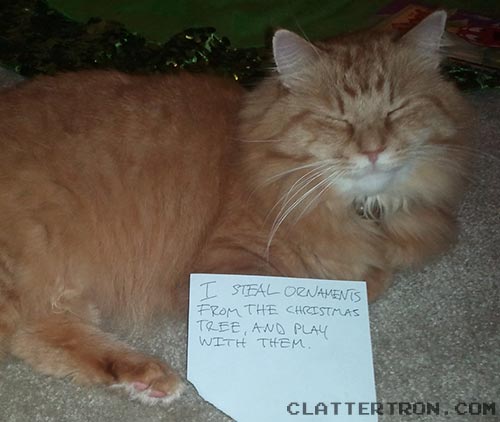 Cat shaming Nigel. He is deeply upset, as you can see. cat shaming Nigel by Daniel J. Hogan on clattertron